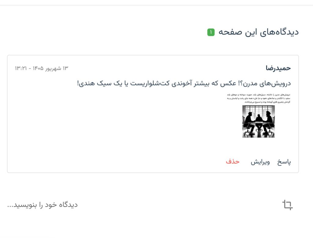 دیدگاه‌ها در وب